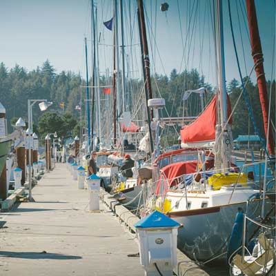 无需激活直接用的攻击网站的方法